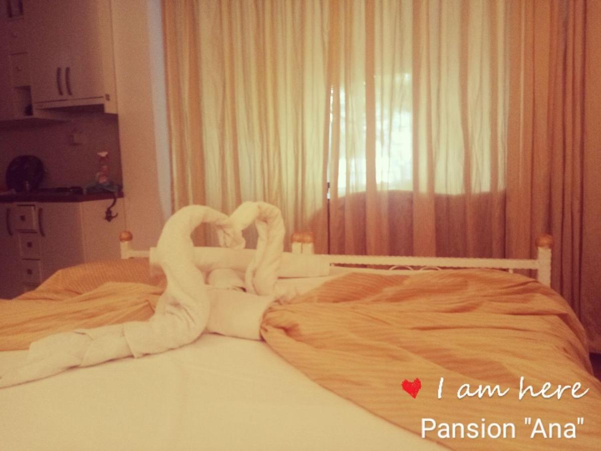 Pansion Ana *