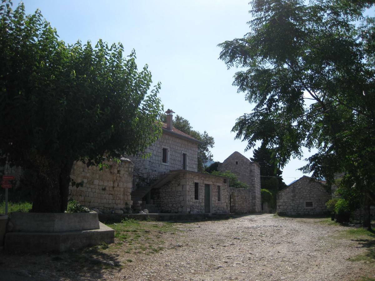 Apartma Pansion Ana *